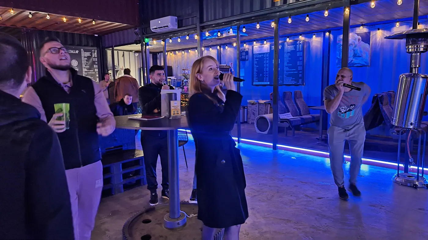 Karaoke DJ
